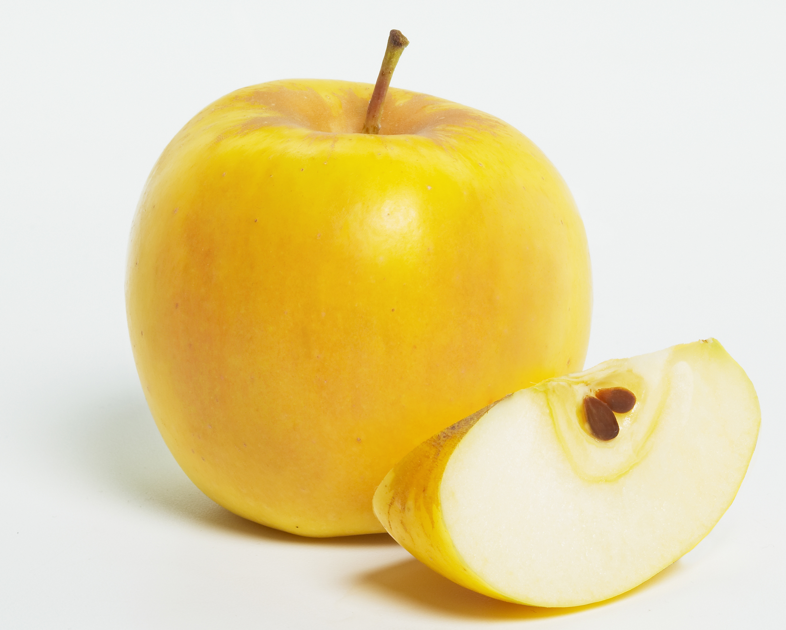 Почему яблоко желтое. Яблоки желтые. Большое желтое яблоко. Желтое яблоко на белом фоне. Желтое яблоко для детей.
