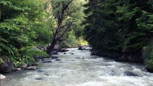 თეძამი თეძ