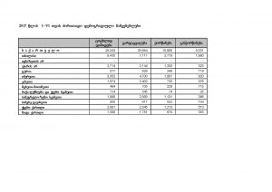 I vi tvis ziritadi demografiuli machveneblebi 2017 (1)