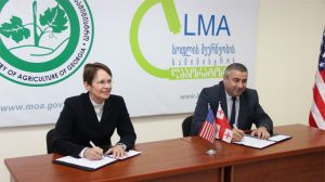 ლაბორ ლაბორ