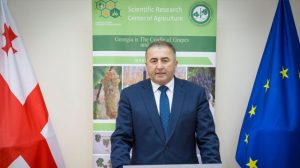 უჯმაჯურიძე კალსდკჯფლაისდფ