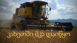 მკა მკა მკა