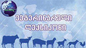 Veterinarua leqsikon