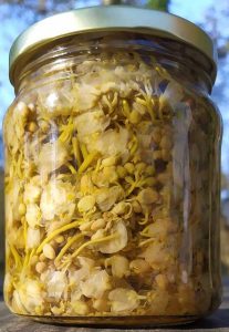 pickled-jonjoli-traditional-georgian-appetizer-from-staphylea-flowers-500ml