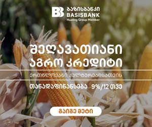 BASISBANK