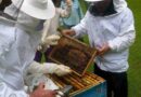 საქართველოში რძისა და თაფლის მწარმოებელი ფერმერების მიერ წარმოების გაუმჯობესებული სტანდარტების დანერგვის ქცევის მამოძრავებელი ფაქტორები
