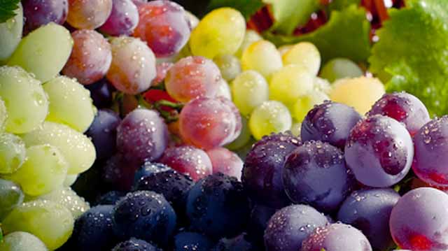 სუფრის ყურძენი
