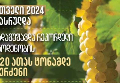 რთველი 2024 ლკალდკჯფალკდჯფ