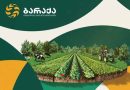ბარაქა ბარაქა ლკდალკდჯ