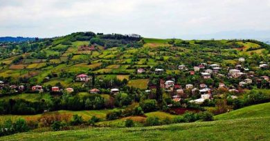 როგორ ავაღორძინოთ სოფელი