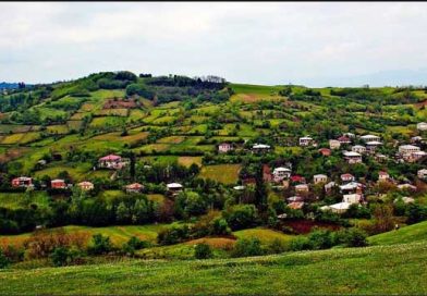 როგორ ავაღორძინოთ სოფელი