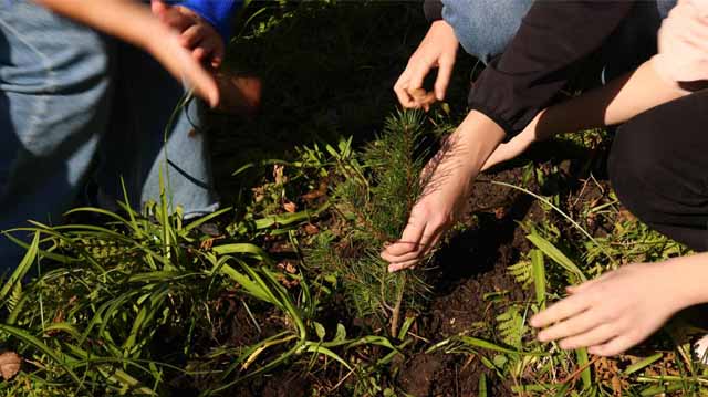 2121222222221111111111111111