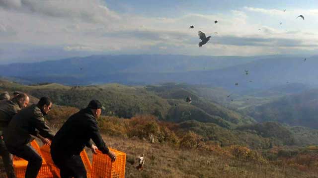 ალგეთის ეროვნული პარკი
