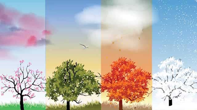 დდდდდდდდდდდდდდდდდდაააააააააააააააააააააააააააააააფფფფფფფფფფფფფფ