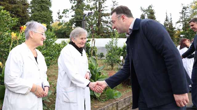 фтфыугдш ანასეული