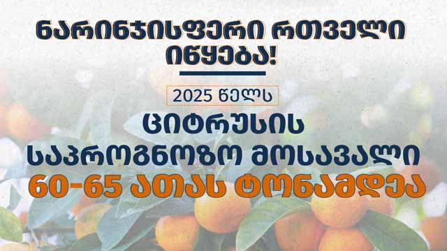 ნარიჯისფერი რთველი იწყებალჯალდკფჯალსდ