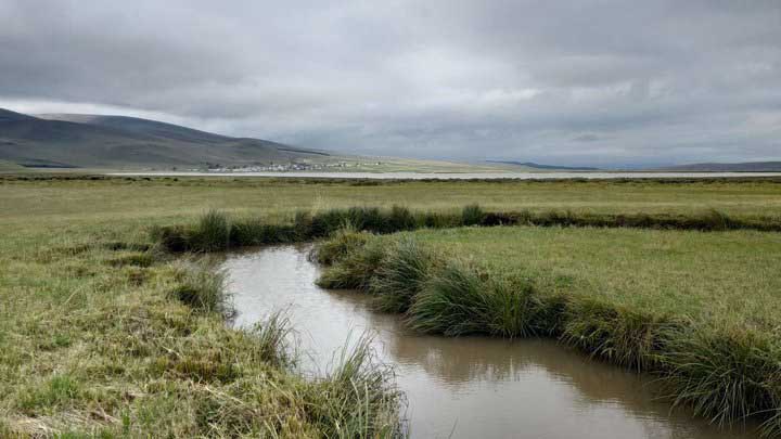 ნინოწმისნდის საძოვრების ინვენტაარიზალდაფჯსდლკფ