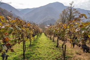 589631319 856827716733896 6462485234122878631 n