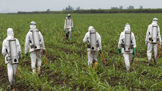 გლიფოსატი გლიფოსატი