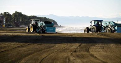 გურიის სანაპირო ლაკდლაკს