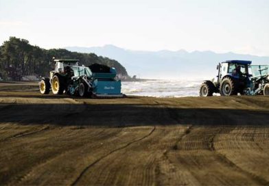 გურიის სანაპირო ლაკდლაკს