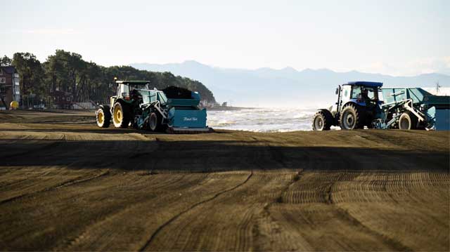 გურიის სანაპირო ლაკდლაკს