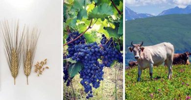 ჯიში და ენდემი