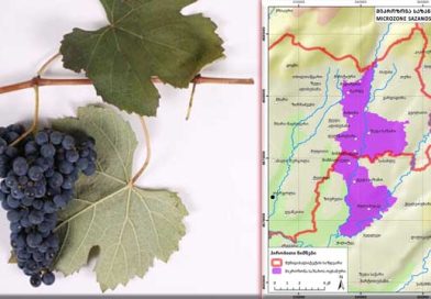 ოცხანური საფერე ადგილწამოშობის ღვინო