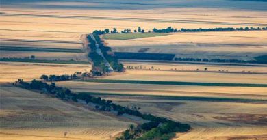 ქარსაფარი ზოლების ლაკდფლაკსჯდ