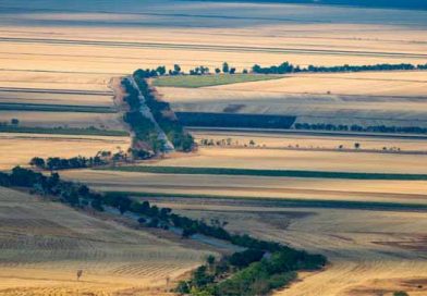 ქარსაფარი ზოლების ლაკდფლაკსჯდ