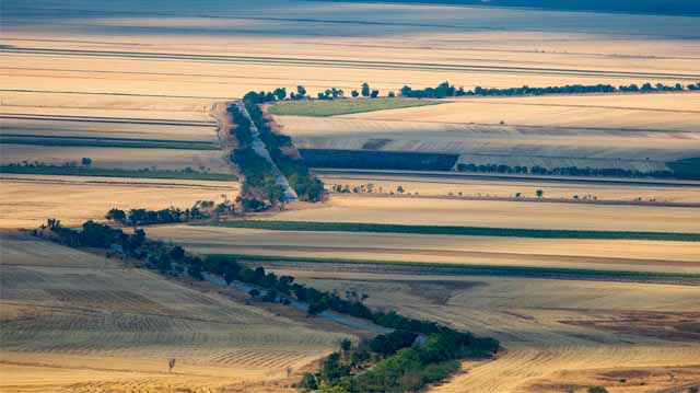 ქარსაფარი ზოლების ლაკდფლაკსჯდ