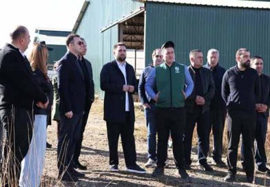 ქართულ ფრანგული ფერმა