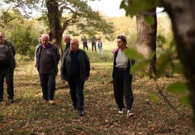 ქუთაისის მუხნარი