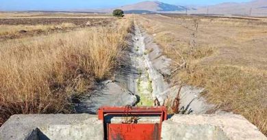 სარწყავი სისტემა