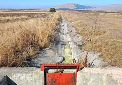 სარწყავი სისტემა