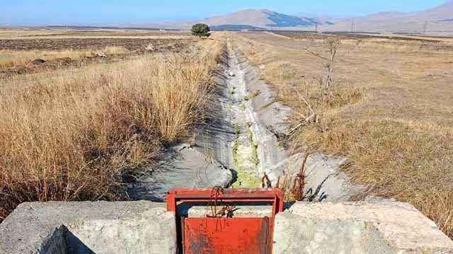 სარწყავი სისტემა