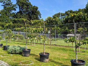 Mvimg 20200908 095446 scaled