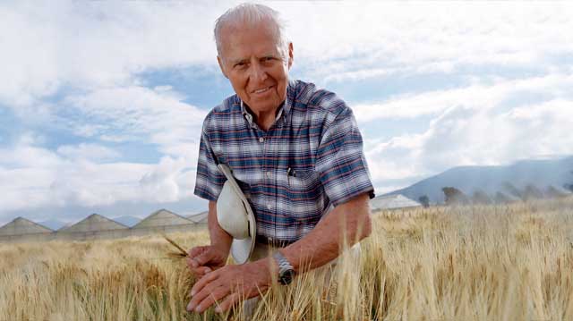 ბერლოუ მწვანე რევოლუცია