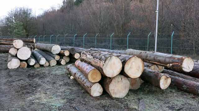 чуეხე ტყელალდკალკდჯ