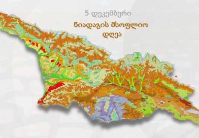 დედამიწის დღე