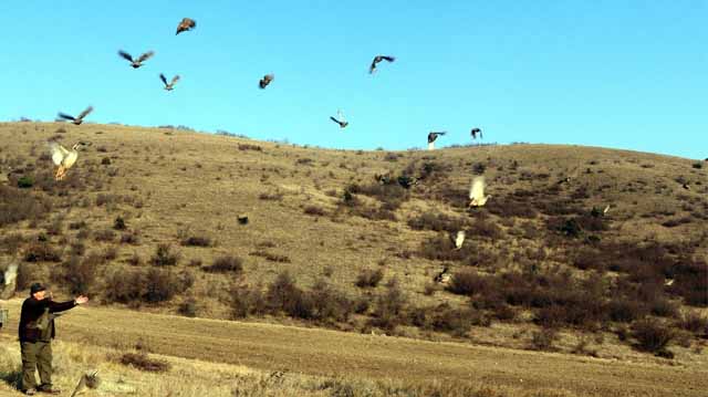 კასპის კაკბები ლკადჯფლაკსჯდფ