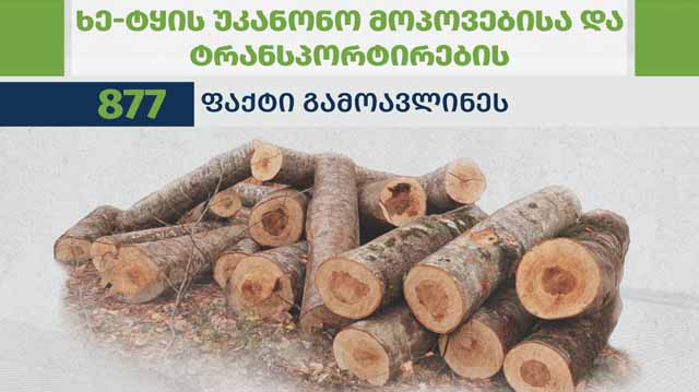 ხე ტყე ლკადლკფასლ