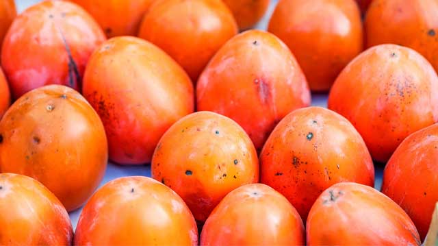 ხურმა ორი მთავარი ფოტო