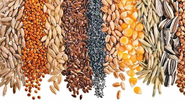 მარცვლეული კულტურები