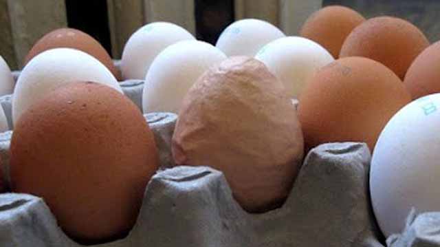 მთავარი ფოტო დეფორმირებული კვერცხი