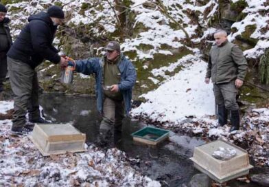 ფშავ ხევსურეთი გათვზიანდა
