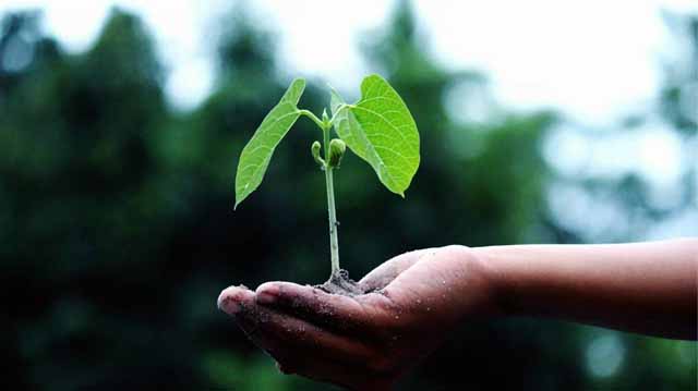 სოოოოოოოოოოოოოოოოფფფფფფფფფფფფფფფლიიიიიიიიიი დ მალდკფასლდკჯ