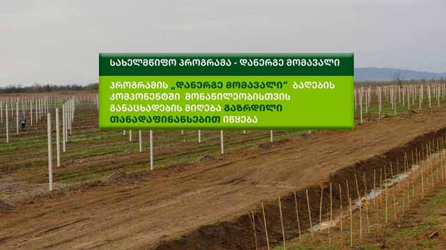 ბაღების კომპონენტი ლაკდფლაკ