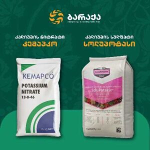 ბარაქა 333333333333333333333