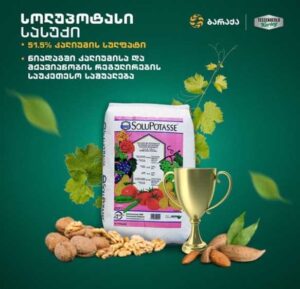 ბარაქა მეოთხე ფოტო